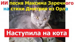20260224 ИИ песня Вчера жена случайно на кота наступила Максима Заречного на стихи Дмитрия из Орла