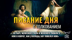 «…По паре, мужеского пола и женского, вошли к Ною в ковчег, как Бог повелел Ною» / Писание дня