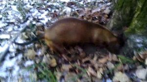 112 2018.11.23_11.35.01