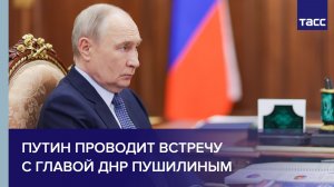 Путин проводит встречу с главой ДНР Пушилиным