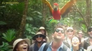 Ⓒ🅾️ⓒ🅾️ Ⓕⓔⓥⓔⓡ 🌴🔥 𝒯𝓇𝑜𝓅𝒾𝒸𝒶𝓁 𝒯𝓇𝒾𝒷𝒶𝓁 𝒟𝒶𝓃𝒸𝑒 𝒮𝓊𝓅𝑒𝓇 𝐻𝒾𝓉 2026