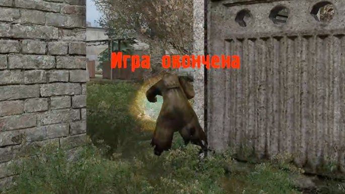 S.T.A.L.K.E.R.- Я НЕ УМРУ В ТУАЛЕТЕ➤ТРЭШ МОД