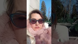 Беженцы и вынужденные переселенцы: таможня РФ вам не друг