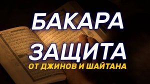 Сура Бакара. Красивое чтение Корана