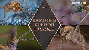 Вся правда о комарах! Д/ф «Вампиры южной полосы»