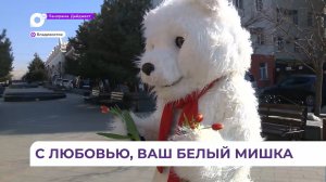 Полярный медведь прогулялся по владивостокскому Арбату и дарил букеты тюльпанов женщинам