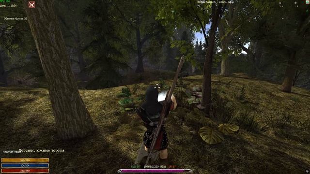 Вытаскиваем мракориса к городу