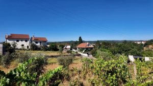 Финальная посадка овощей, подвязка томатов и крутая покупка для сада _(Дом в Португалии). Выпуск 16