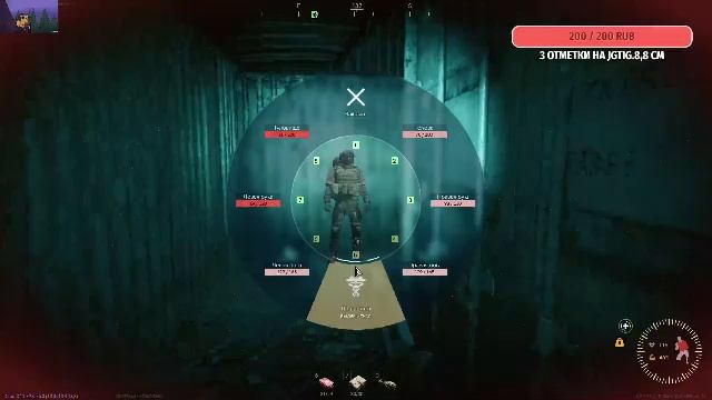 Active Matter PVE-PVP №6