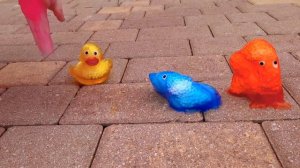 Настя устроила эксперимент с игрушками