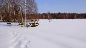 Немного полетали)))