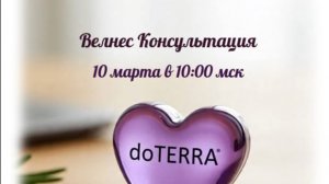 Велнес-консультация для Школы Новичка, март 2026