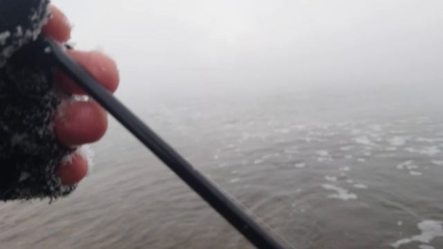 ВОТ ЭТО ЛЕЩ ЗИМОЙ НА СЛИВЕ