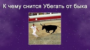 К чему снится Убегать от быка - толкование сна