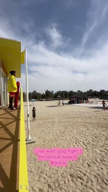 ������ F-16 ��� �� �������� Shahed ��� ��������� ������