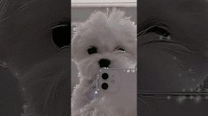 Случилось нечто ужасное 😨просто кошмар 😭