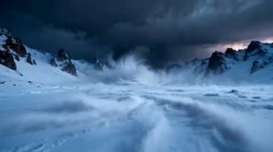 Одинокая волчица