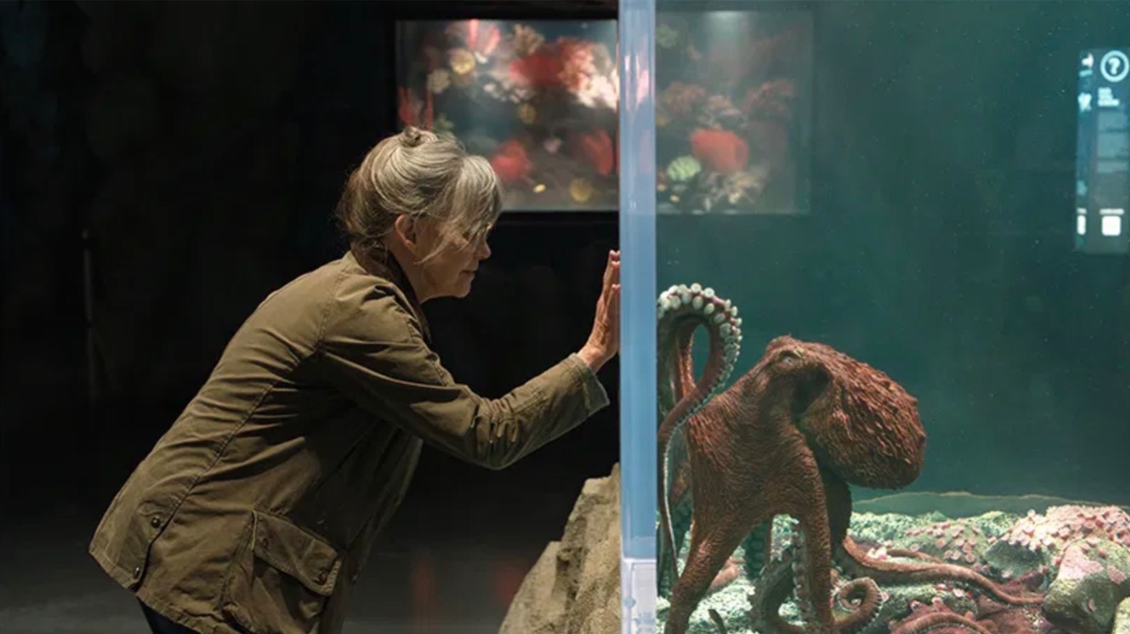 Remarkably Bright Creatures2026 - Тизер