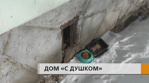 Больше 10 лет терпят запах канализации и травят тараканов