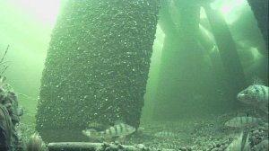 1000011367.mp4Волга гл.2м.10.03.2026г.