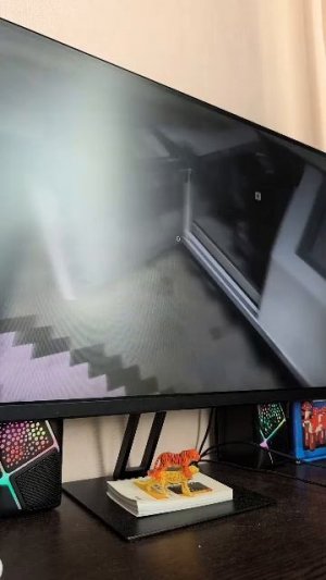 моя первая трансляция