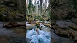 природа краса.mp4