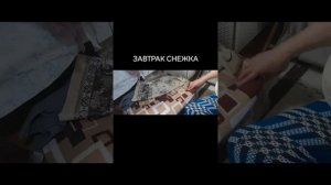 Снежок завтракает