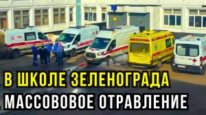 12 детей получили отравление в школе №853  г. Зеленограда — кексы с плесенью на завтрак