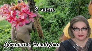 2 часть. До врача надо ДОЖИТЬ❗️