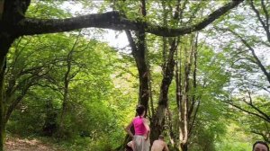 Экскурсия "9 в 1". Абхазия, Гагрский район. 02.08.2025. Дорога на поляну и поход к водопадам.