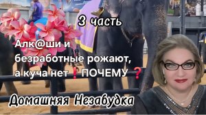 3 часть. Алк@ши и безработные рожают, а куча нет❗️Почему❓️