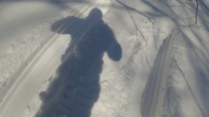 Попал в пухляк, самая красивая и бесполезная поездка в лес.