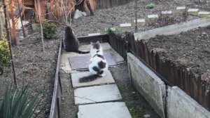 Огород . Весенние работы часть 1 (09.03.26)