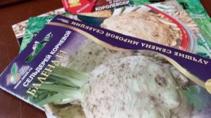 СЕЛЬДЕРЕЙ. ВЫБИРАЮ СОРТА.