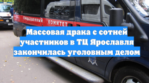 Массовая драка с сотней участников в ТЦ Ярославля закончилась уголовным делом