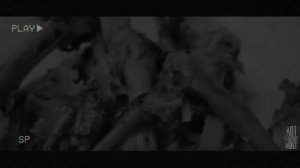 ТРЕХНОГИЙ... Страшные истории на ночь 🫣🫣🫣