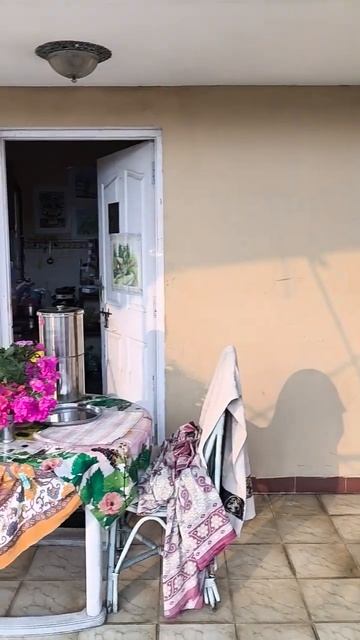 Индия. С раннего утра трели спасенных соловьев Буль Буль на крыше дома, где я живу.