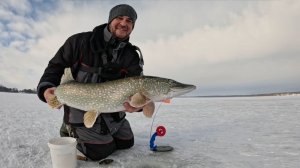 ФЛАГИ ВЗЛЕТАЮТ НАЧАЛСЯ ЖОР! Зимняя рыбалка на жерлицы 2026