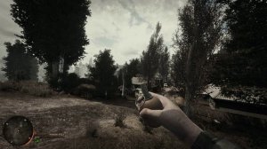 сталкер ташим