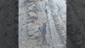 с днем грёбаных подснежников💐