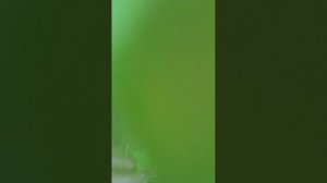 Уборка после видео