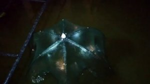 Захотелось Раков к🍻, но Лень 🚙, Что Делать🤔 Есть выход👍