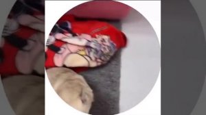 Ненасытная душа