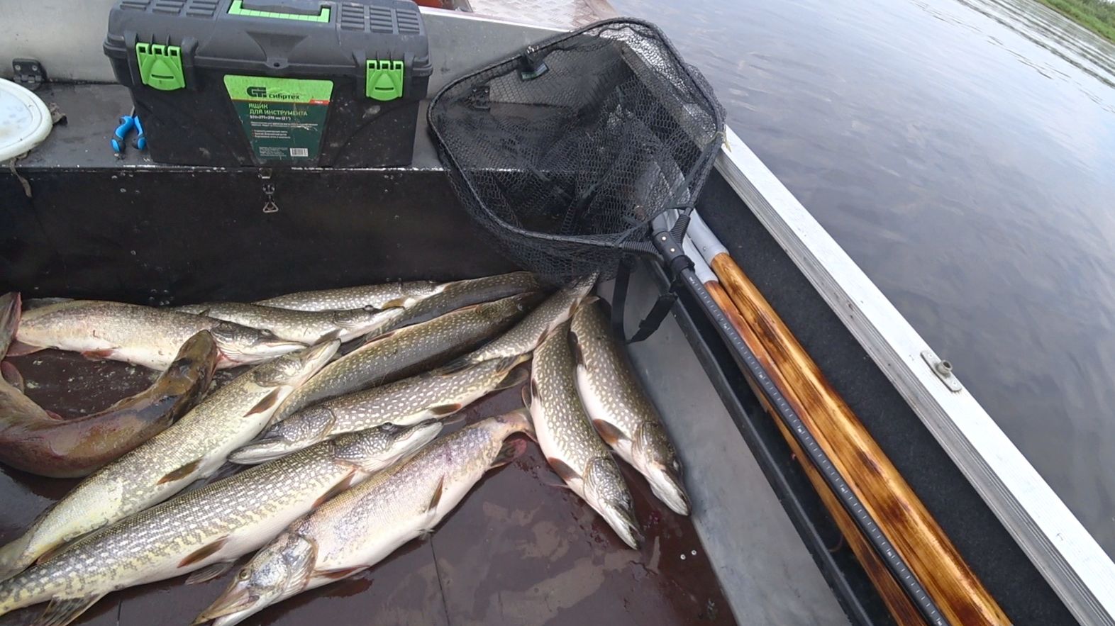 Вот это клев!!! Наловил огромных щук и язей. Дешёвые приманки с АЛИ