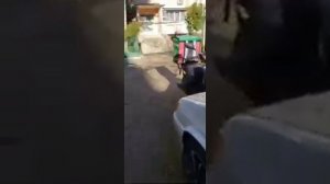 Алеуты после того как я их выгнала из канала