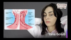 Горловой звук "Р" у взрослых. Часть 2.  Убираем зажим в корне языка. Миогимнастика.