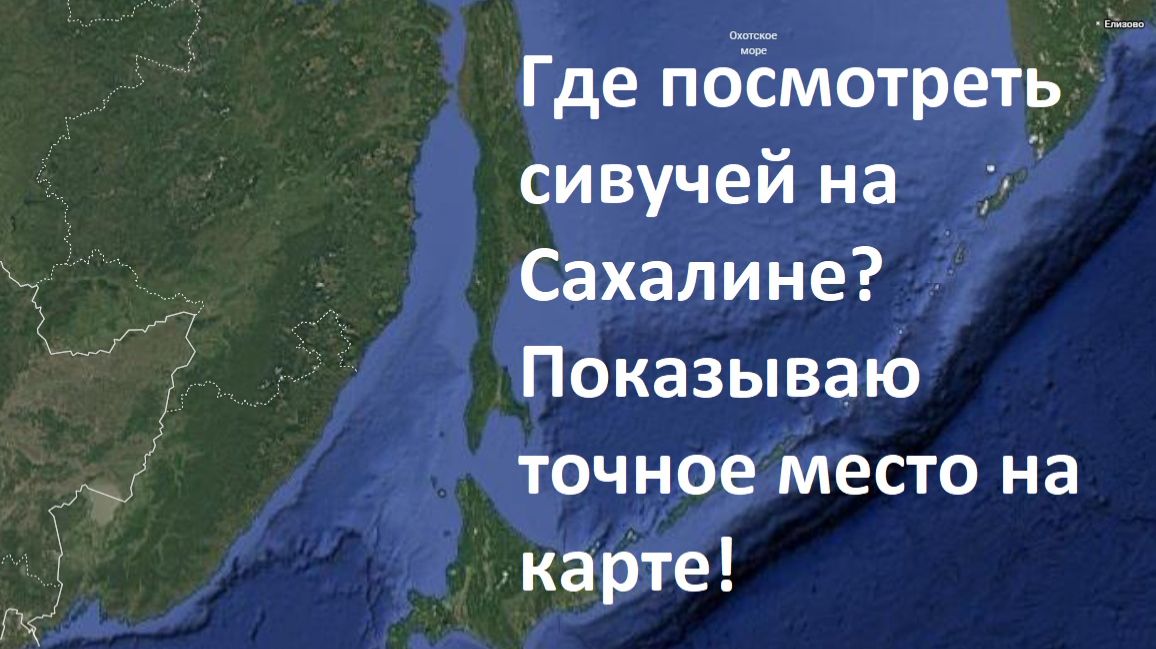 Про Сахалин. Сивучи. Часть 5