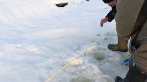 VID_20260310_191942_678