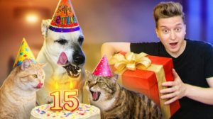 Боссу 15 лет! Печём собачий торт (SANISHOW)