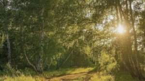 На сходке с любимкой😊 😍❤